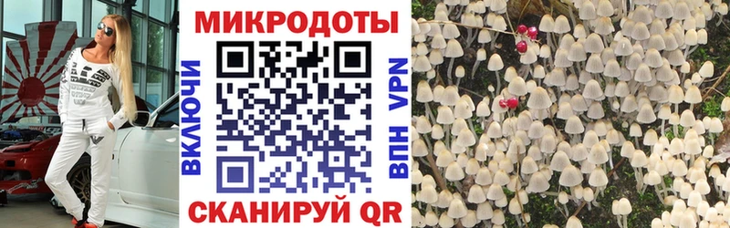 Галлюциногенные грибы MAGIC MUSHROOMS  Питкяранта 